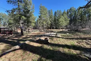 1335 Park Dr, Mormon Lake, AZ 86038 - Photo 20