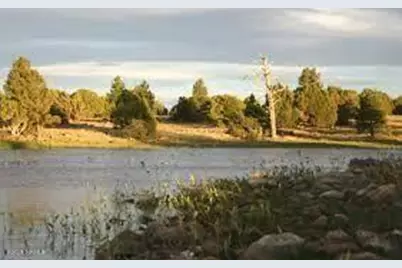 1335 Park Drive, Mormon Lake, AZ 86038 - Photo 26