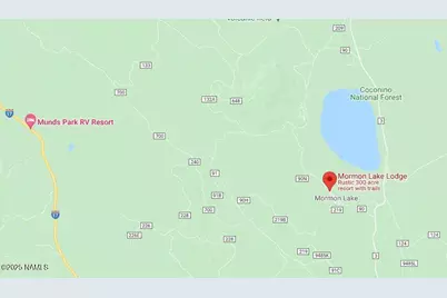 1335 Park Drive, Mormon Lake, AZ 86038 - Photo 30