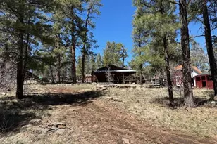 1335 Park Dr, Mormon Lake, AZ 86038 - Photo 16