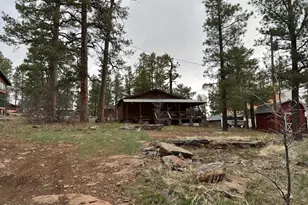 1335 Park Dr, Mormon Lake, AZ 86038 - Photo 24