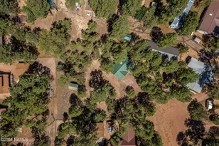 2029 Moccasin Cir, Heber-Overgaard, AZ 85298 - Photo 28