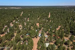 2029 Moccasin Cir, Heber-Overgaard, AZ 85298 - Photo 26