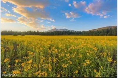 7050B Moroni Drive #1, Flagstaff, AZ 86001 - Photo 1