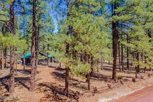 7621 E Jolly Rogue Ln, Williams, AZ 86046 - Photo 4