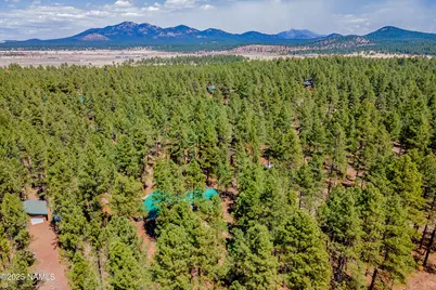 7621 E Jolly Rogue Lane, Williams, AZ 86046 - Photo 6