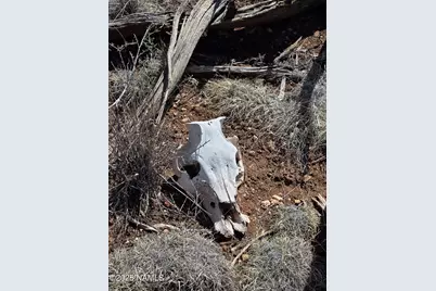 564 N Wyandotte Road, Williams, AZ 86046 - Photo 1