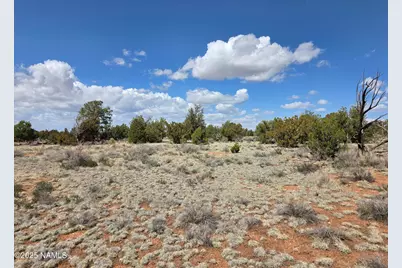 564 N Wyandotte Road, Williams, AZ 86046 - Photo 6