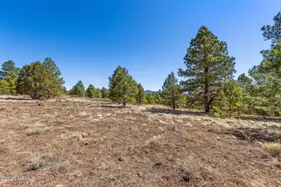 747 N Davenport Lk Road, Williams, AZ 86046 - Photo 12