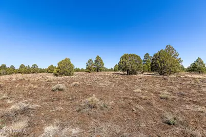 747 N Davenport Lk Road, Williams, AZ 86046 - Photo 20
