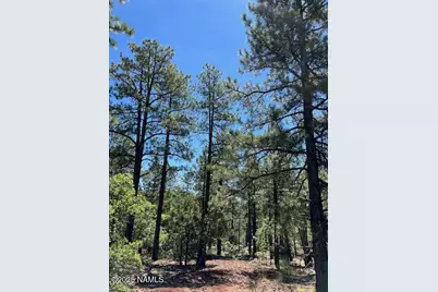 1642 Canyon View Loop, Williams, AZ 86046 - Photo 32