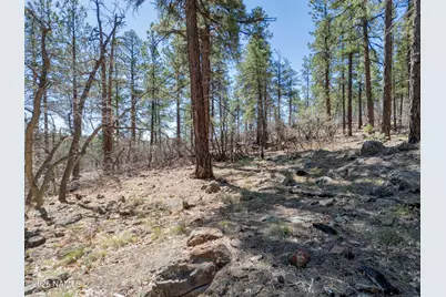 1642 Canyon View Loop, Williams, AZ 86046 - Photo 10