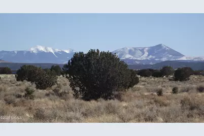 2940 E Wingfield Road, Williams, AZ 86046 - Photo 2