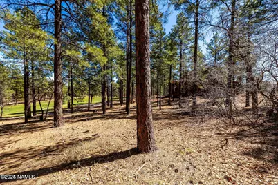 4160 Lariat Loop, Flagstaff, AZ 86005 - Photo 8