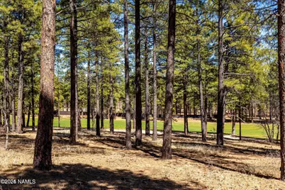 4160 Lariat Loop, Flagstaff, AZ 86005 - Photo 4