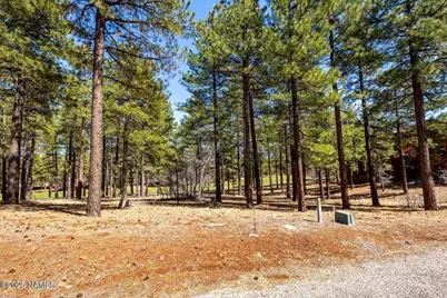 4160 Lariat Loop, Flagstaff, AZ 86005 - Photo 12