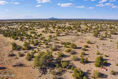 212 S Palmetto Road, Williams, AZ 86046 - Photo 4
