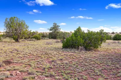 212 S Palmetto Road, Williams, AZ 86046 - Photo 2