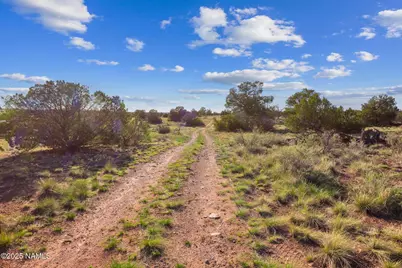 243 S Ann Circle, Williams, AZ 86046 - Photo 10