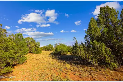 243 S Ann Circle, Williams, AZ 86046 - Photo 2