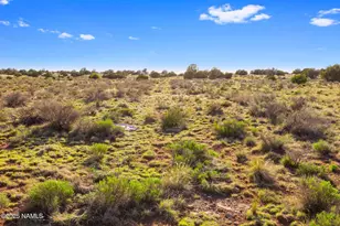 591 S Palmetto Rd, Williams, AZ 86046 - Photo 1