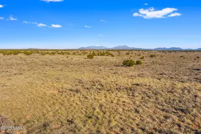 591 S Palmetto Road, Williams, AZ 86046 - Photo 10