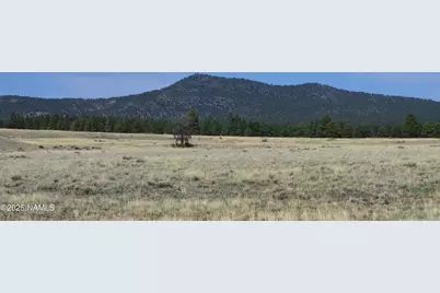 Lot 2 E Tanner Ranch Road, Parks, AZ 86018 - Photo 12