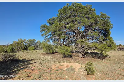 9087 Hawkeye Circle, Williams, AZ 86046 - Photo 26