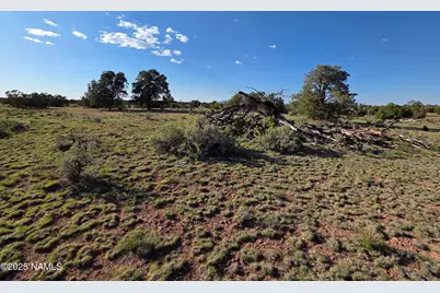9087 Hawkeye Circle, Williams, AZ 86046 - Photo 34
