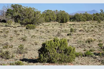 9087 Hawkeye Circle, Williams, AZ 86046 - Photo 20