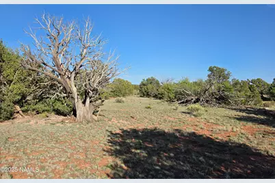 9087 Hawkeye Circle, Williams, AZ 86046 - Photo 38