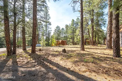 4263 Canyon Loop Loop, Flagstaff, AZ 86005 - Photo 4