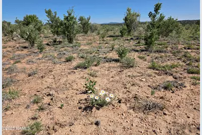 8175 Sharp Knife Road, Williams, AZ 86046 - Photo 34