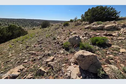 8175 Sharp Knife Road, Williams, AZ 86046 - Photo 4