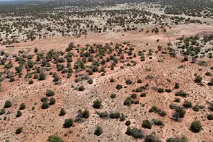 6163 S Rim Ranch Rd, Williams, AZ 86046 - Photo 1