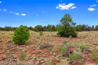 8449 E Water Tank Circle #A, Williams, AZ 86046 - Photo 16