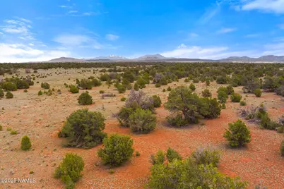 8449 E Water Tank Circle #A, Williams, AZ 86046 - Photo 14