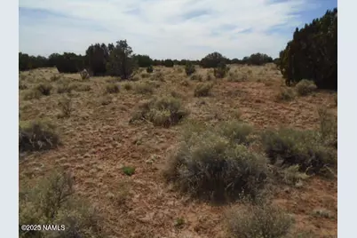 3435 E Valencia Road, Williams, AZ 86046 - Photo 12
