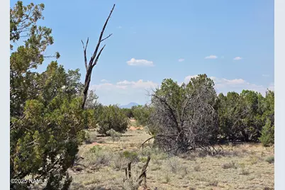 913 S Kaibab Road, Williams, AZ 86046 - Photo 6