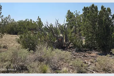 913 S Kaibab Road, Williams, AZ 86046 - Photo 24