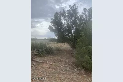 3864 Mohave Trail, Williams, AZ 86046 - Photo 4