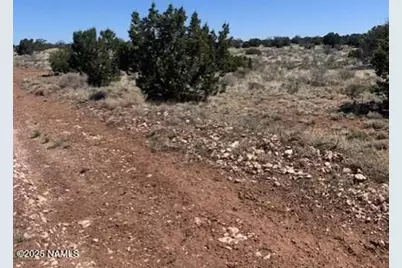 3864 Mohave Trail, Williams, AZ 86046 - Photo 6