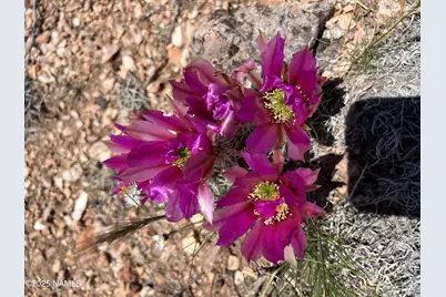 8834 Northstar Road, Williams, AZ 86046 - Photo 26