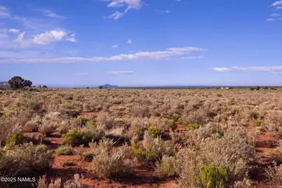 2877 Paradise Drive, Williams, AZ 86046 - Photo 14