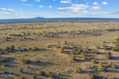 4532 Indian Meadows Road, Williams, AZ 86046 - Photo 12