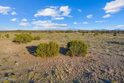 4532 Indian Meadows Road, Williams, AZ 86046 - Photo 20