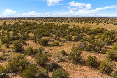 3697 E South Rim Ranch Road #A, Williams, AZ 86046 - Photo 12