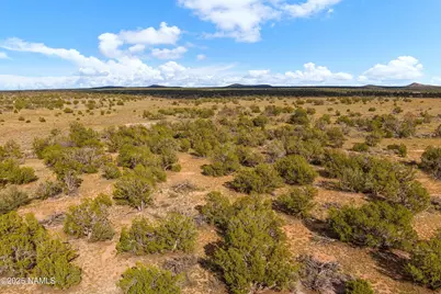 3697 E South Rim Ranch Road #B, Williams, AZ 86046 - Photo 14