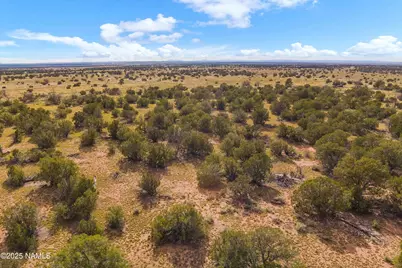 3697 E South Rim Ranch Road #C, Williams, AZ 86046 - Photo 12