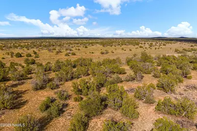 3697 E South Rim Ranch Road #C, Williams, AZ 86046 - Photo 18
